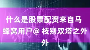 什么是股票配资来自马 蜂窝用户@ 枝别双塔之外