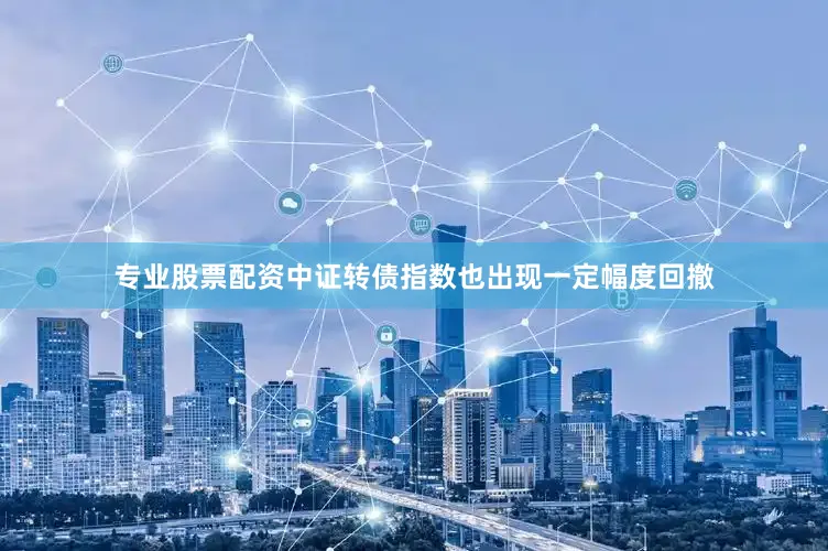 专业股票配资中证转债指数也出现一定幅度回撤