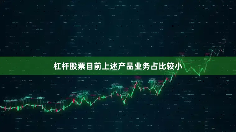 杠杆股票目前上述产品业务占比较小